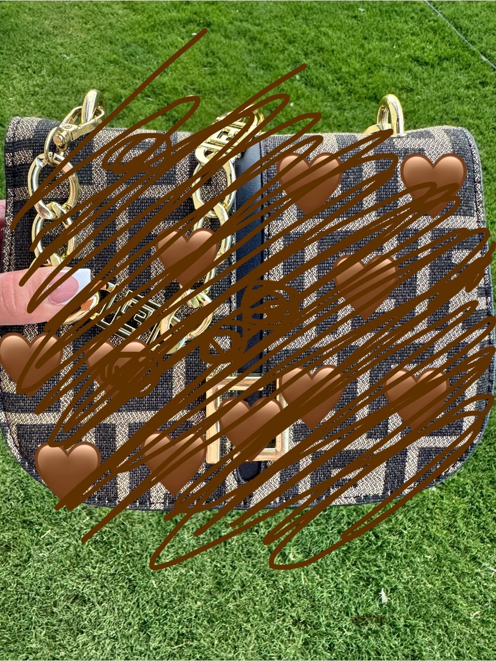 Beautiful Brown and Gold Bag